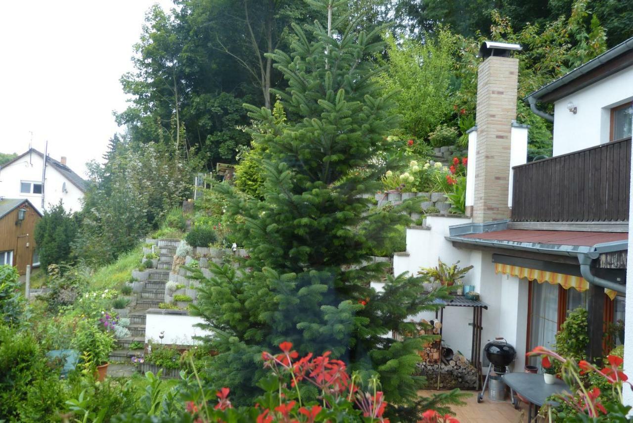 Pension Johannistal Sebnitz Buitenkant foto